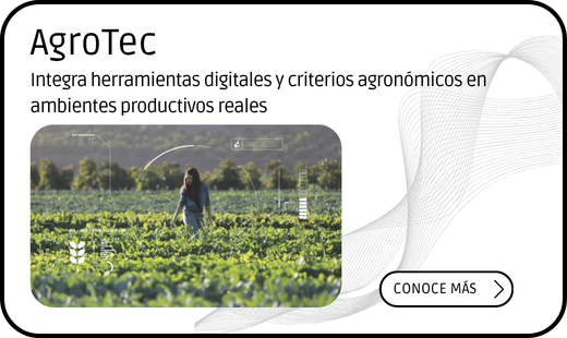 Vértice: Agrotec